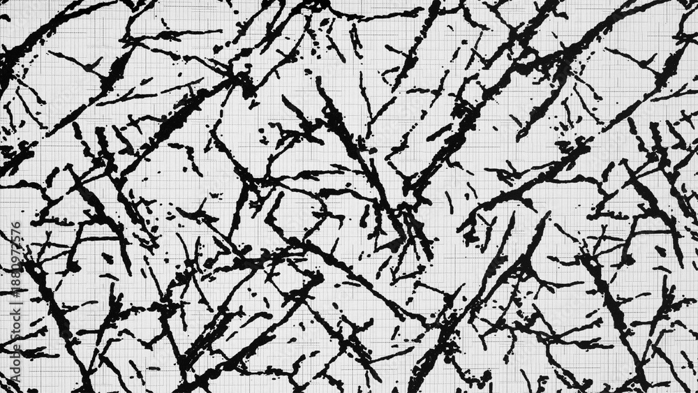 Obraz premium Abstract textured patterned black and white background.