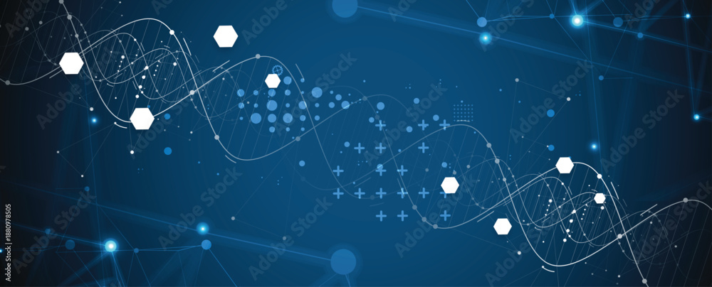 Fototapeta premium Futuristic medical and science background, DNA strands, connected neural web