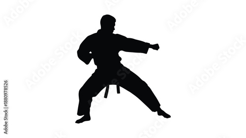 A dynamic martial arts pose captured in a striking black silhouette