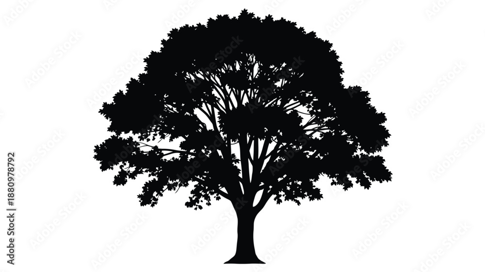 Fototapeta premium A striking black tree form against a white backdrop silhouette