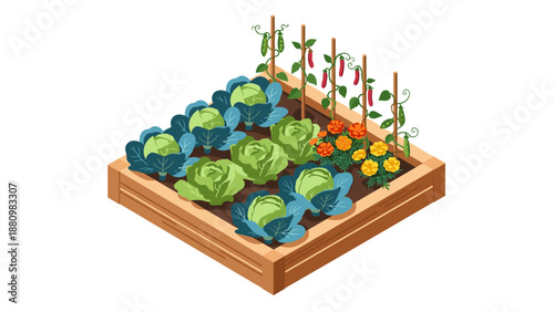 Isometric wooden garden bed with vegetables and flowers