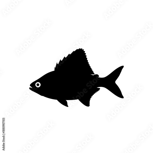 fish vector illustration