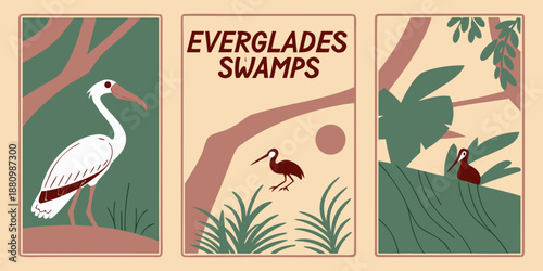 U.S, USA, US, United States - Everglades Wildlife Triptych | Florida Swamp Birds & Nature Illustration | Vintage Wetland Poster Set | Earthy Green‑Brown Marshland Wall Art Print
