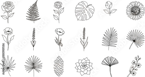 Collection of various botanical illustrations isolated on transparent background