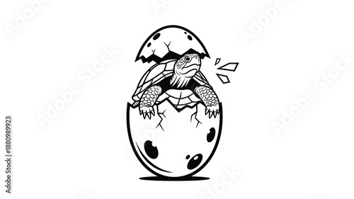 Baby turtle emerging from a cracked eggshell a striking silhouette