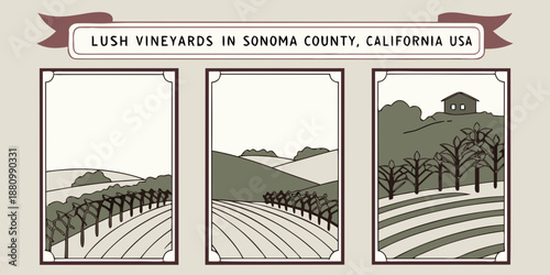 U.S, USA, US, United States - Sonoma County Vineyard Triptych — Lush Wine Country Landscape Illustration | California USA Scenic Farmland Wall Art Print | Rustic Modern Decor | Digital Download

