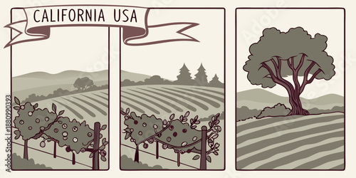 U.S, USA, US, United States - California Vineyard Triptych — Scenic Wine Country Landscape Illustration | Rustic California USA Farmland Wall Art Print | Modern Farmhouse Decor | Digital Download
