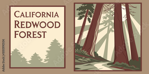 U.S, USA, US, United States - California Redwood Forest — Majestic Tall Trees & Scenic Woodland Path Illustration | Rustic Nature Wall Art Print | Vintage‑Style Outdoor Decor | Digital Download
