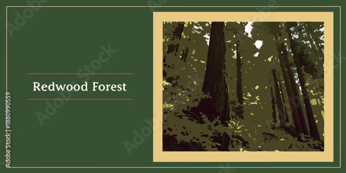 U.S, USA, US, United States - Redwood Forest California — Majestic Tall Trees & Scenic Woodland Illustration | Rustic Nature Wall Art Print | Vintage‑Style Outdoor Decor | Digital Download
