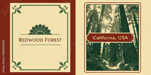 U.S, USA, US, United States - Redwood Forest California USA — Vintage‑Style Tall Trees & Sunlit Woodland Path Illustration | Rustic Nature Wall Art Print | Digital Download
