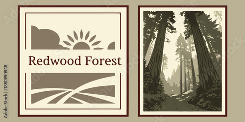 U.S, USA, US, United States - Redwood Forest — Sunburst Graphic & Scenic Woodland Path Illustration | Rustic Nature Wall Art Print | Vintage‑Style Outdoor Decor | Digital Download
