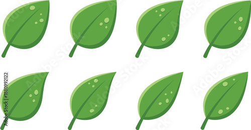 Collection of green cartoon leaf illustrations with shiny details and simple clean shapes, botanical nature clipart for eco projects, graphic design, and educational materials