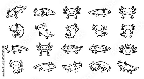 Collection of axolotl line art illustrations in various poses, isolated on a white background.