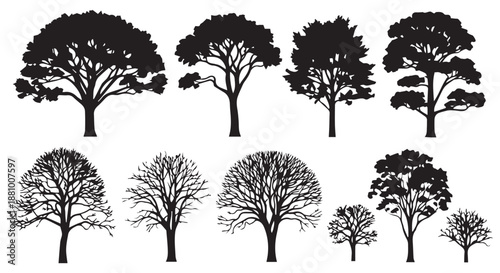 A collection of tree silhouettes in various shapes and sizes on a white background dividers decorative border design concept