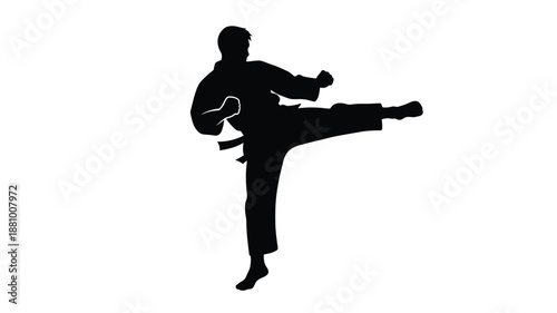 A martial artist performing a dynamic kick in a striking silhouette