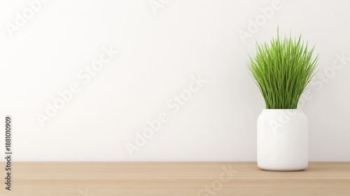 Indoor Green Plant in White Pot on Wooden Table Against White Wall