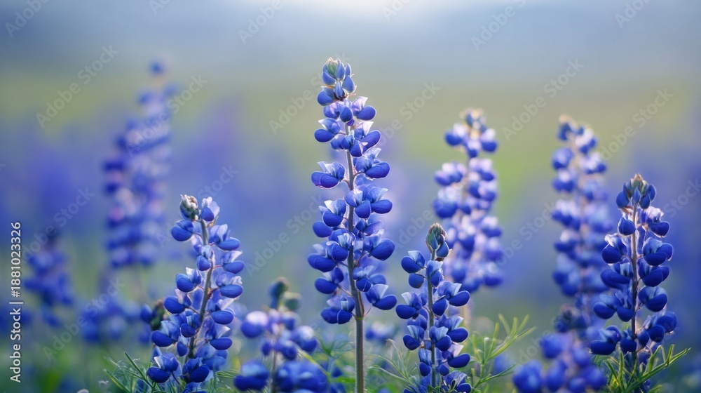 Obraz premium beautiful little blue flowers in the middle of a green valley generative ai