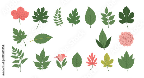 Large selection of diverse green and reddish-pink leaves and a few flowers in different shapes and sizes for nature lovers.