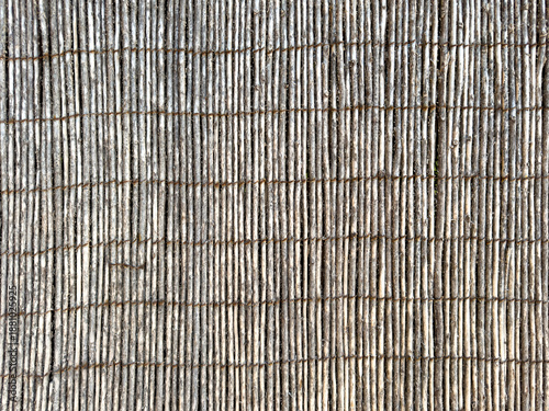 Fotografie Weathered reed fence background texture, vertical canes tied with wire