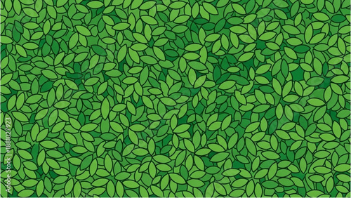 A dense pattern of green leaves viewed from directly above in a natural setting