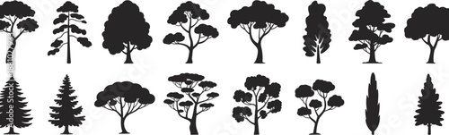 Tree silhouettes, black vector illustration, foliage shapes, coniferous and broadleaf trees, landscape icons, forest design, botanical diversity, nature chart