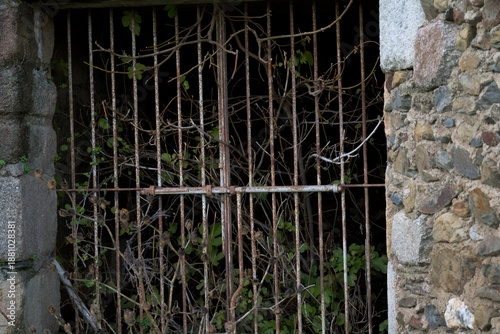 Wallpaper Mural Rusty iron bars with vines and stone wall Torontodigital.ca