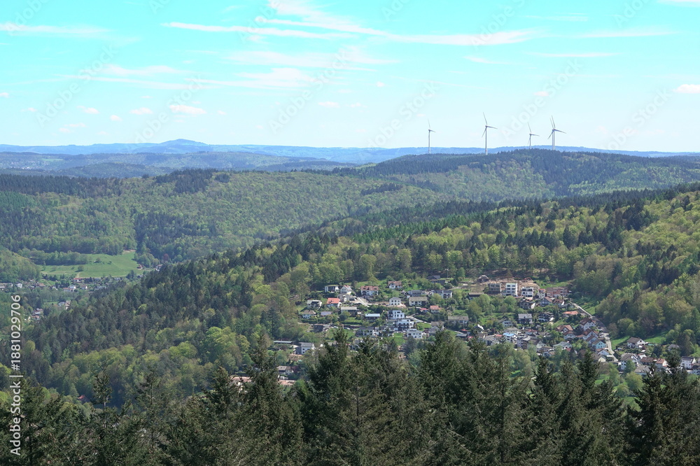 Fototapeta premium Wilhelmsfeld im Odenwald