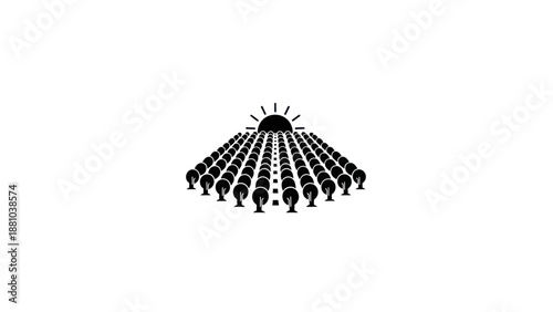 Sun rising over rows of trees