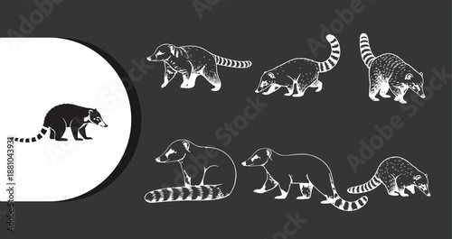 Collection of Hand-Drawn Coati Animal Illustrations