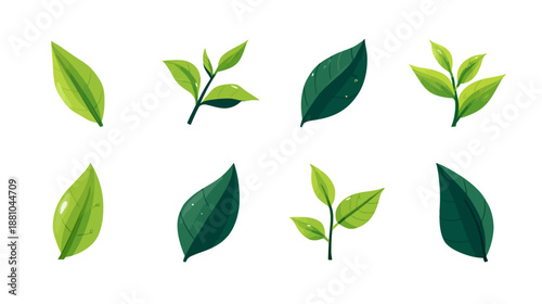 Collection of diverse green leaves and fresh foliage illustrations, depicting natural botanical elements in various shades and shapes, perfect for design.