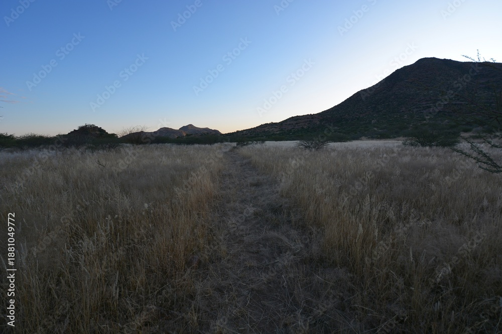 Obraz premium Landschaft im Erongo Gebirge im Abendlicht (Namibia)