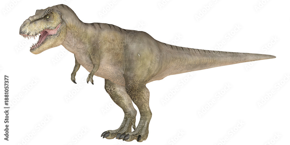 Fototapeta premium Realistic dinosaur standing on white background