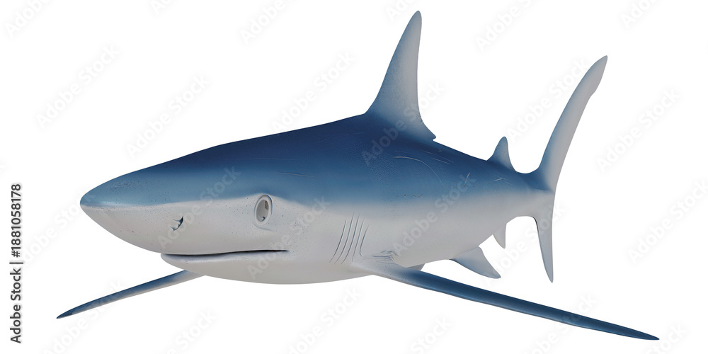 Fototapeta premium Illustration of a sleek blue shark in motion