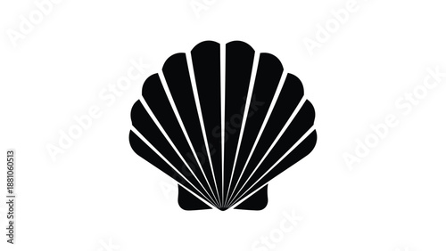 A simple black and white illustration of a seashell with radiating lines