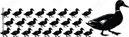 A large duck leads a group of small ducks in a formation on white background