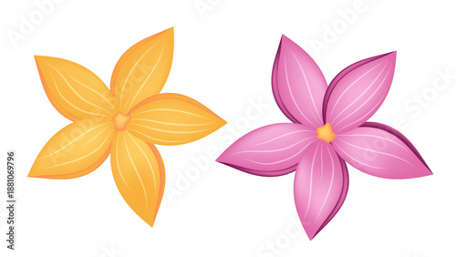 orange and pink flowers on white background transparent background