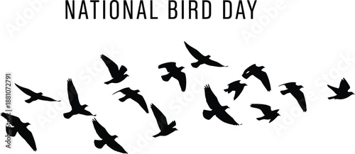 A flock of birds in flight represents the National Bird Day event theme.
