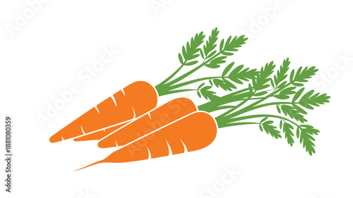 Vibrant fresh carrots with green leafy tops, a healthy and nutritious root vegetable.