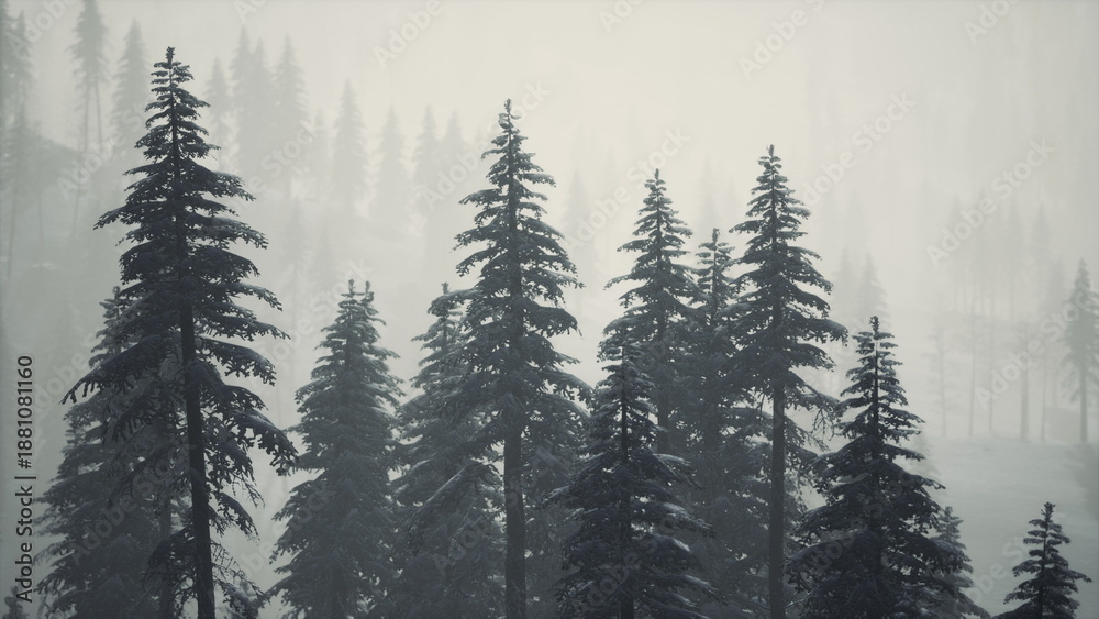 Obraz premium Tall evergreen trees stand covered in snow, shrouded in thick mist. The tranquil atmosphere creates a sense of calm in this beautiful winter scene. Nature unfolds quietly in frosty elegance.