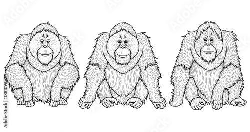 Three illustrated monkeys with distinctive faces in black and white design