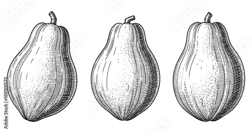 Vintage hand-drawn illustration of three papayas in black and white