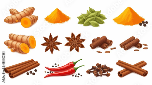 Assorted spices and seasonings arranged neatly on a white surface viewed from directly above