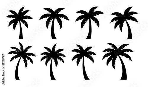 Modern palm tree silhouette vector icons set for tropical web design patterns and beach themes