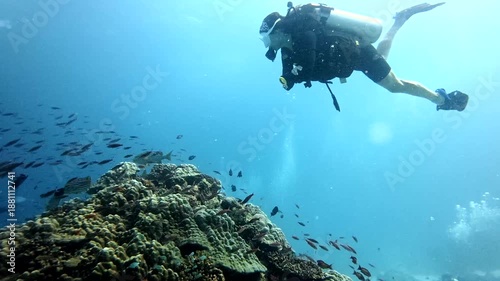 Scuba diver exploring tropical coral reef and marine life