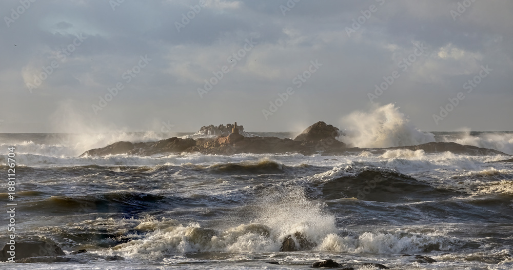 Naklejka premium December rough sea