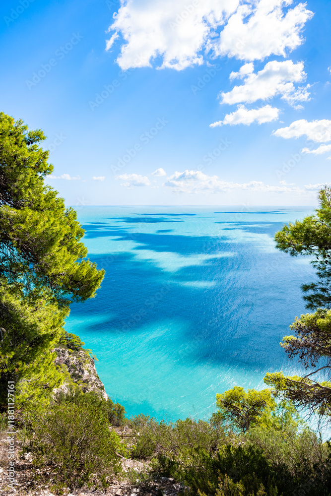 custom made wallpaper toronto digitalVibrant turquoise sea stretching to the horizon, seen through Mediterranean pine trees, Apulia, Italy