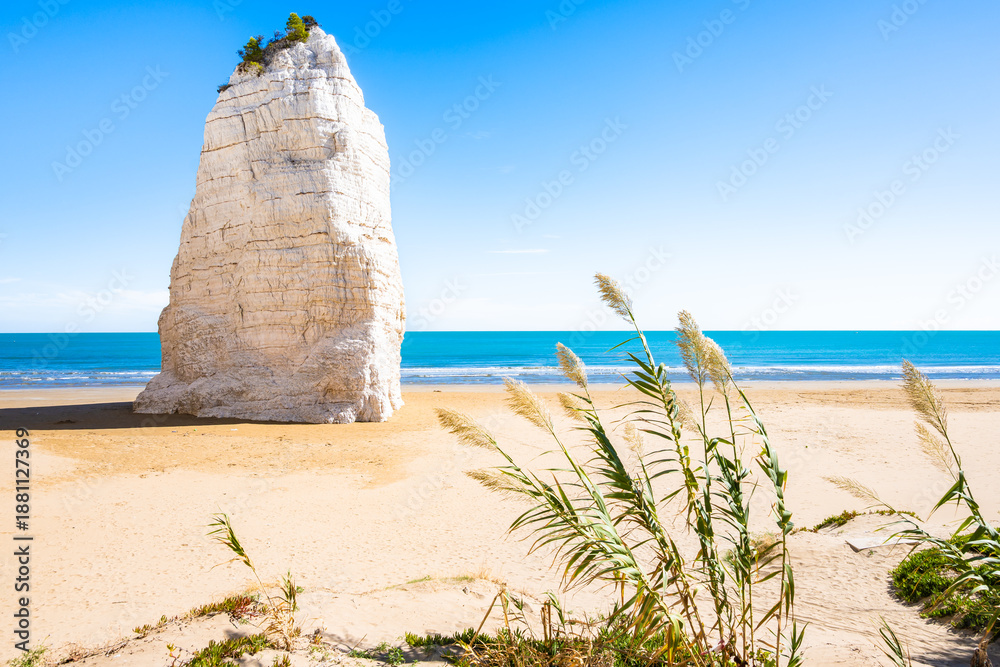 custom made wallpaper toronto digitalIconic Pizzomunno monolith rock rising from the golden sands on Vieste Beach, Apulia, Italy