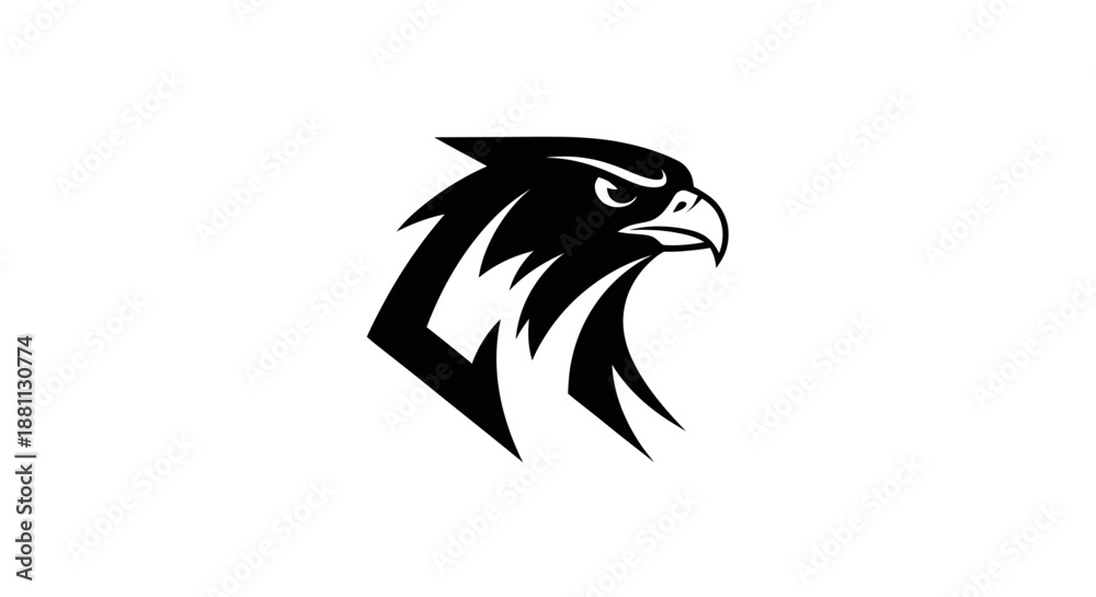 Obraz premium Adobe Illustrator Artwork