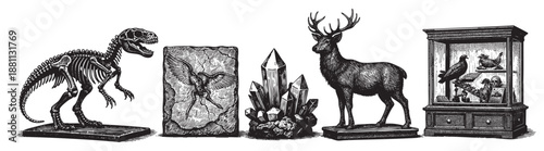 A black and white illustrative composition featuring a dinosaur skeleton, eagle relief, crystal formation, deer statue, and cabinet of curiosities, reminiscent of vintage engravings.