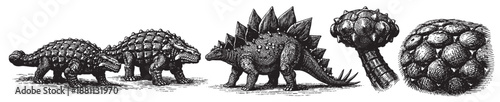 Detailed black ink engraving shows two armored Ankylosaurus, a Stegosaurus, and two armored fruit objects on a white background, perfect for scientific illustration purposes.
